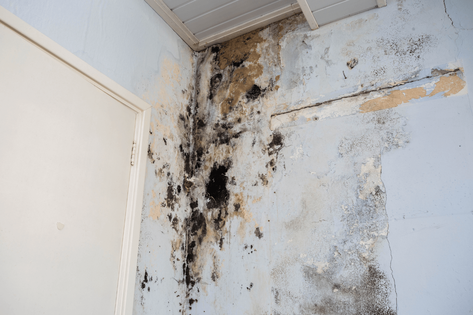 taux d'humidité maison