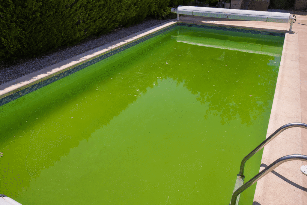 Eau de piscine verte