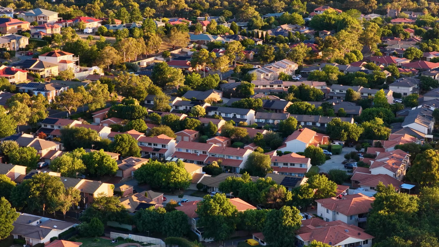 vue aérienne d'un quartier d'une ville arborée